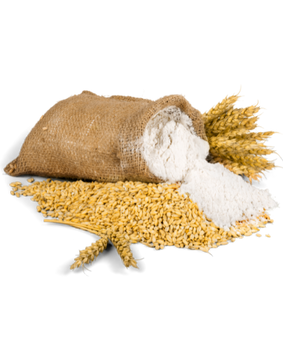 Sharbati Wheat (Desi).