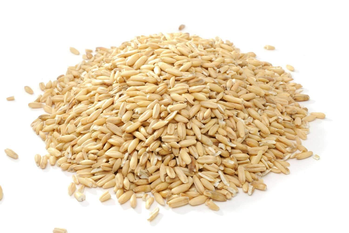 Oats (Jae).