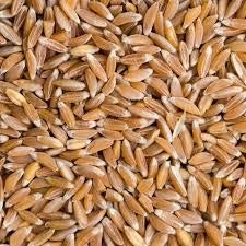 khapli wheat low gluten alternative
