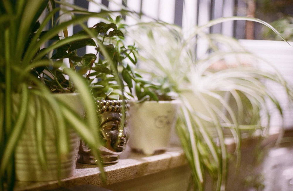 Air Pollution: The Fight Just Moved Indoors