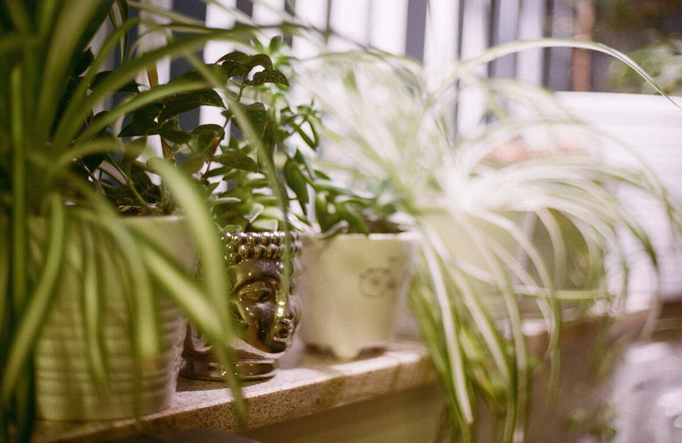 Air Pollution: The Fight Just Moved Indoors