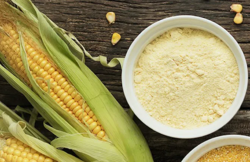Know Your Grains (KYG): Corn, “the most abundant food in the world”