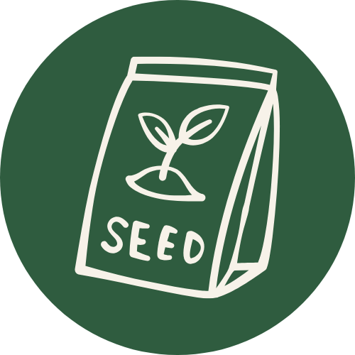 Seeds