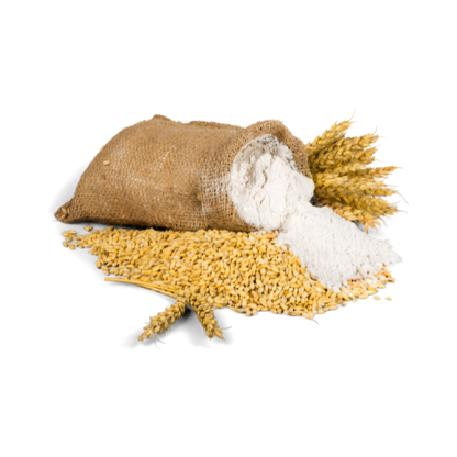 Sharbati Wheat (Desi).