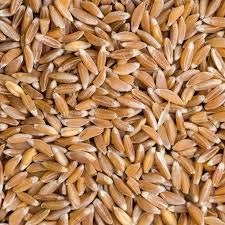 Khapli (Emmer Long Wheat)